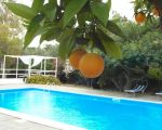 ferienwohnung-catania-pool-mit-orangen.jpg